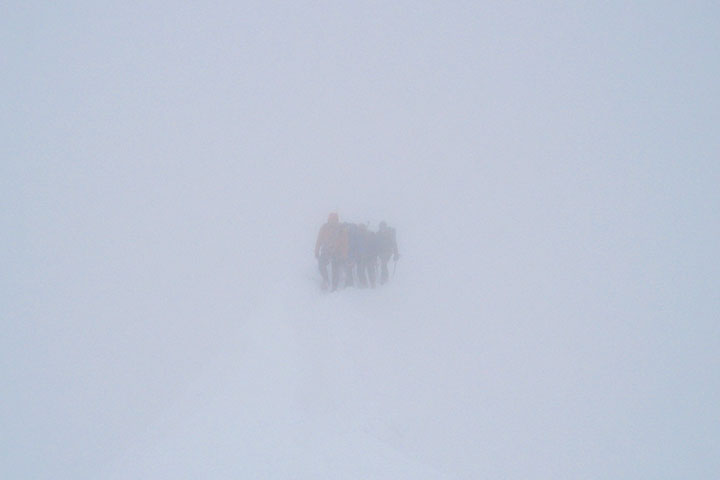 Gorillas im Nebel kurz vor dem Gipfel